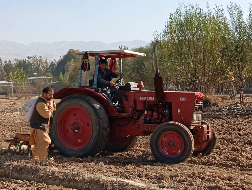 کشت سِت تجربوی گندم للمی و آغاز برنامه ترویجی کشت قطاری در تخار
