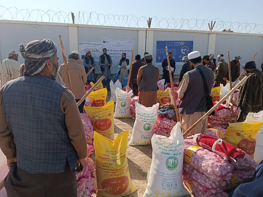 توزیع پیاز سیر و کودهای کیمیاوی برای دهاقین ولسوالی فیض‌آباد جوزجان