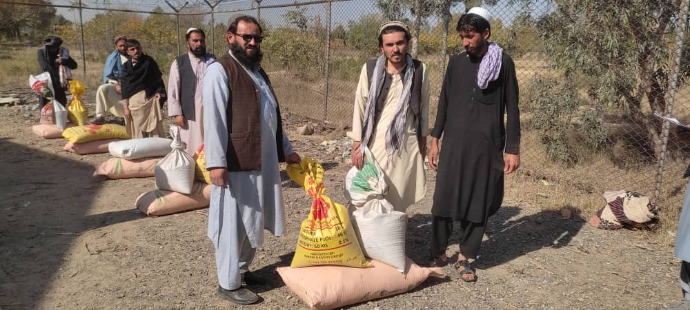 خوست کې د غنمو ننداریزو کروندو لپاره اصلاح شوي تخمونه او کیمیاوي سرې ووېشل شوې