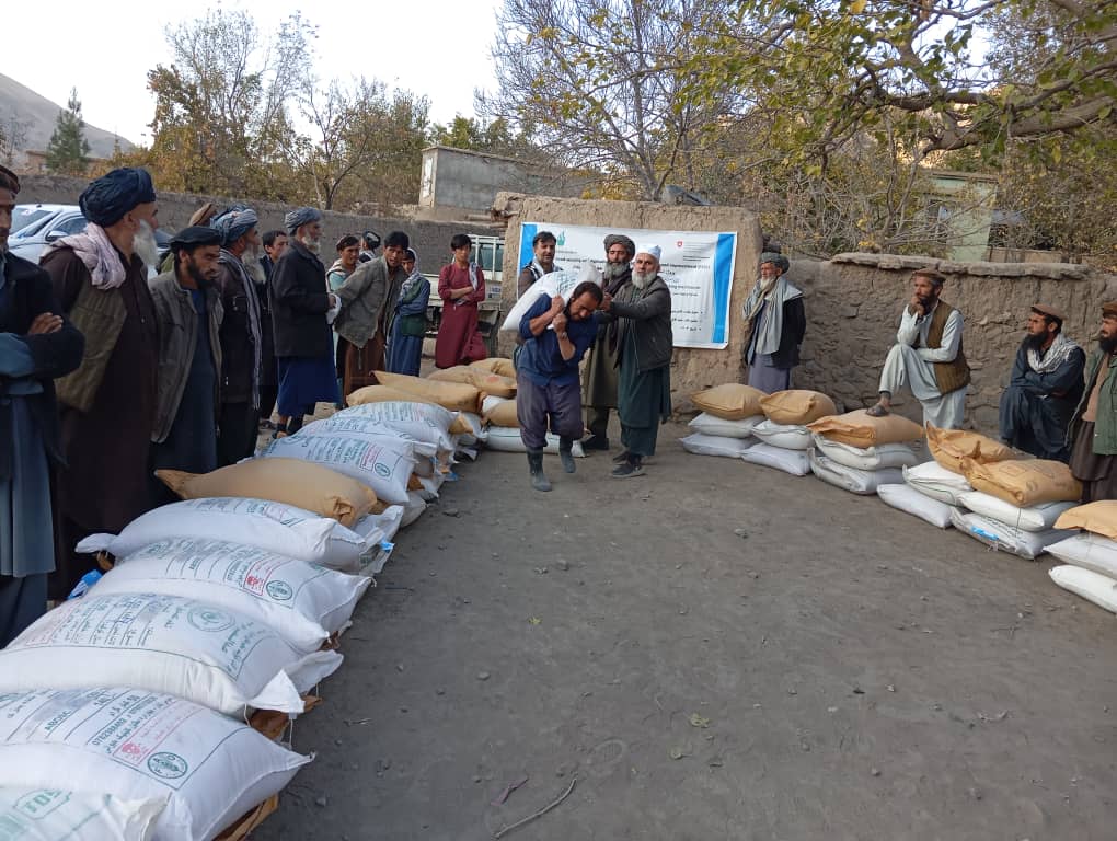 توزیع گندم بذری اصلاح‌شده برای ۳۳ دهقان مستحق در ولسوالی چال تخار انجام شد