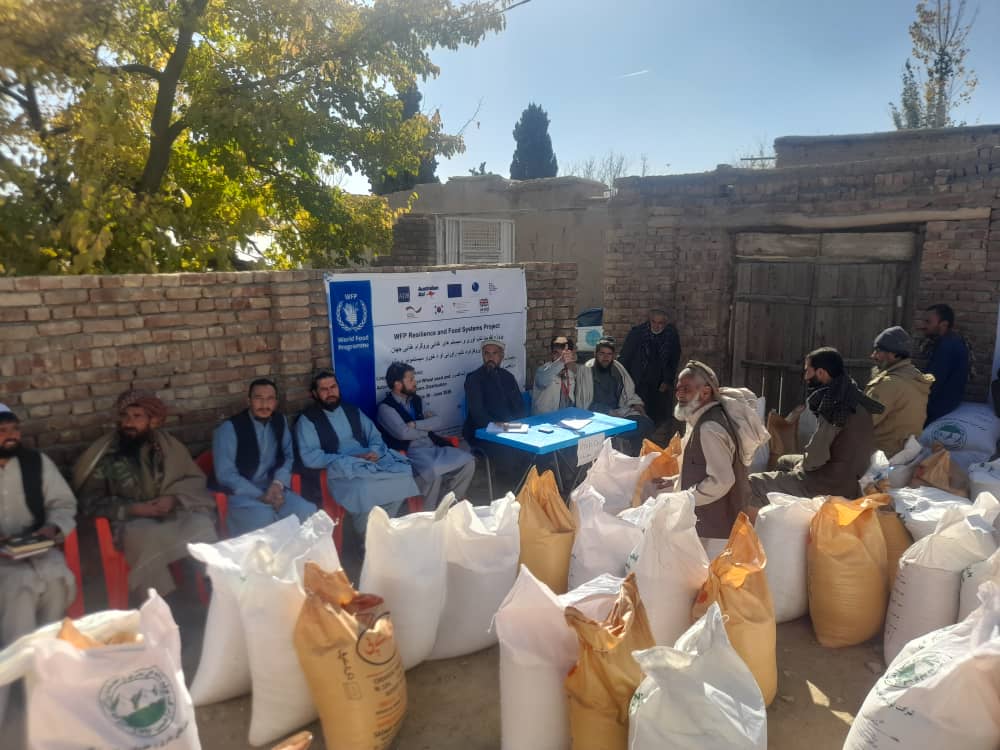 توزیع تخم اصلاح‌شده گندم بذری و کودهای کیمیاوی برای دهاقین پیشقدم در ولسوالی فرزه کابل