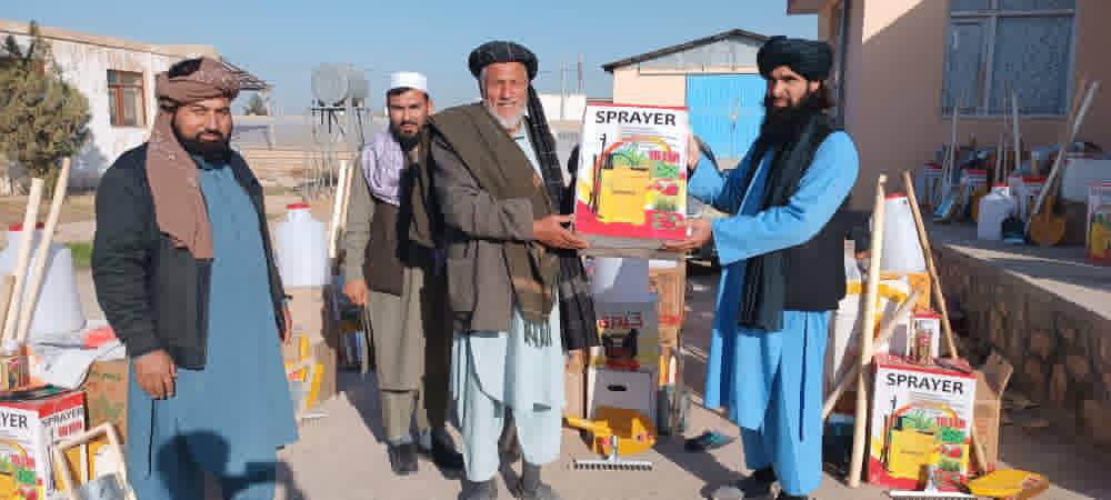 برگزاری برنامه آموزشی کاشت تا برداشت هنگ و توزیع وسایل زراعتی در ولسوالی دهدادی بلخ