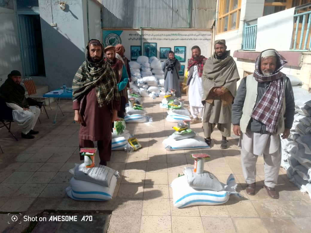 غزني کې د پخوانیو معتادینو کورنیو ته د سبو د تخمونو وېش ترسره شو