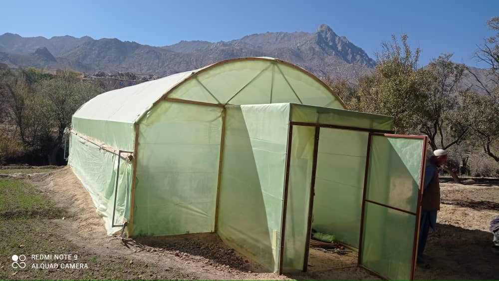 اعمار ۸۰ باب سبزخانه در دایکندی تکمیل و به بهره‌برداری سپرده شد