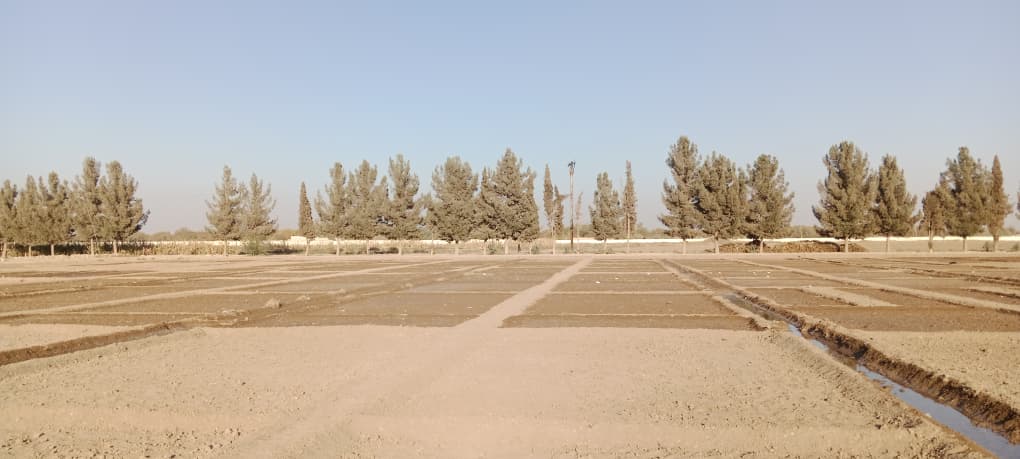 دهلمند بولان څېړنیز فارم کې پر بېلا بېلو نباتاتو څېړنې پیل شوې