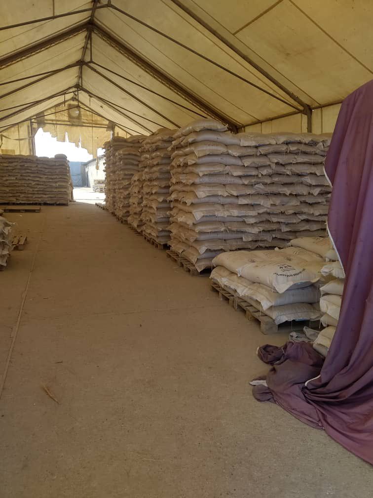 توزیع گندم بذری برای دهاقین در  ولسوالی چمتال بلخ