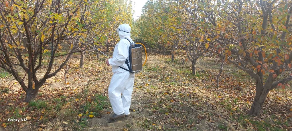 آغاز برنامه یوریا اسپری در ولسوالی‌های ولایت فاریاب