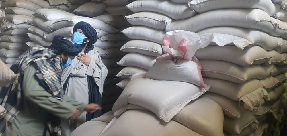 د کرنې وزارت پلاوي د هلمند په ولایت کې له زېرمه شویو غنمو څخه لیدنه وکړه 