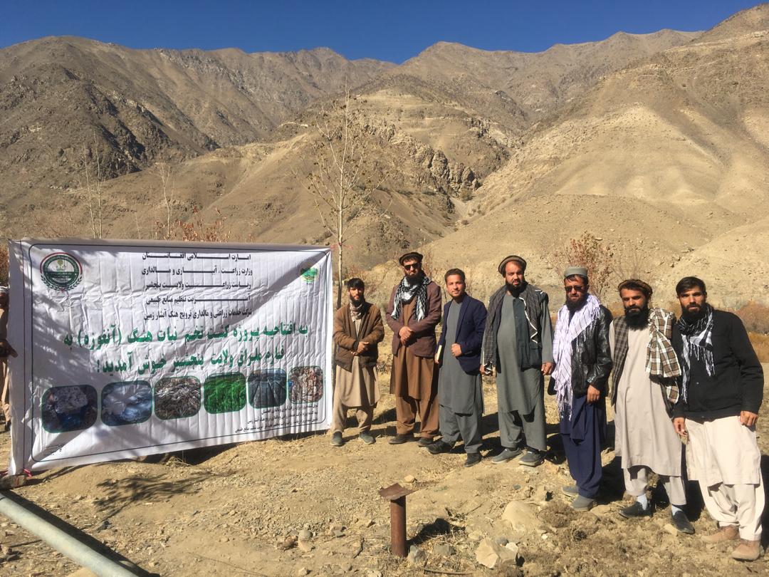 آغاز برنامه ترویج کاشت نبات هنگ در پنجشیر