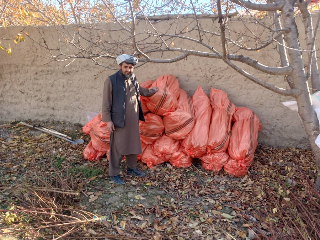 غرس ۳۰ هزار اصله نهال مثمر در بدخشان؛ روند بررسی و آمادگی‌ها آغاز شد