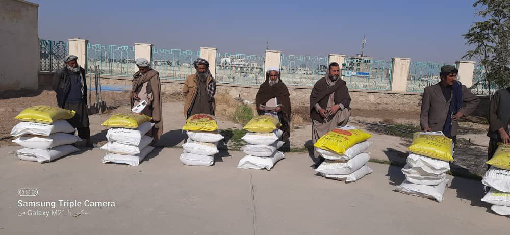 توزیع تخم بذری و کود کیمیاوی در ولسوالی نهر شاهی ولایت بلخ