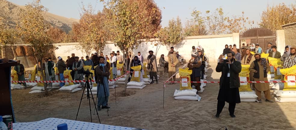 آغاز توزیع تخم‌های اصلاح‌شده گندم و کودهای کیمیاوی برای ۱۷ هزار  دهقان در بغلان