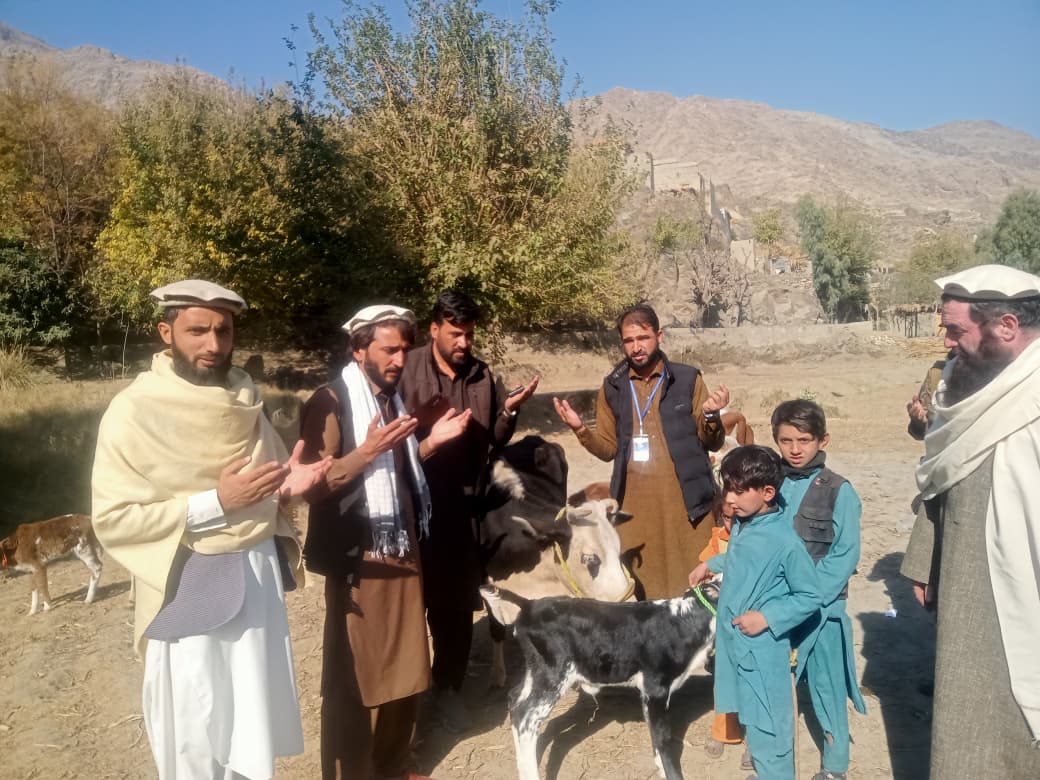 د کونړ نورګل ولسوالی کې ۱۵ یتیمو کورنیو ته اصلاح شوې غواګانې ووېشل شوې