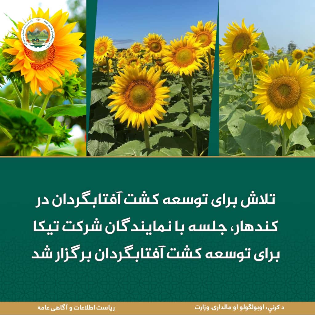 خبرهای مهم روز