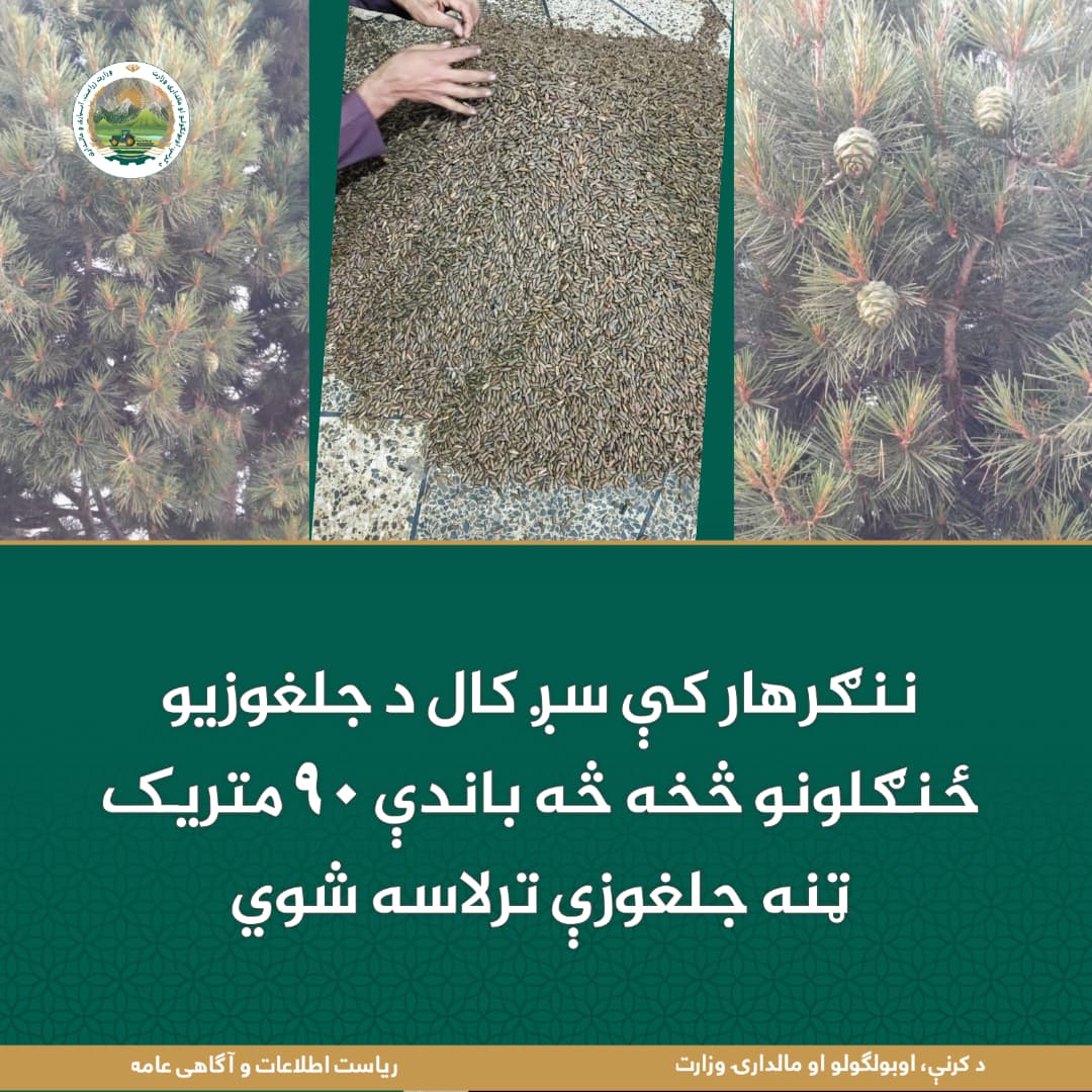 د ورځ مهمی خبری