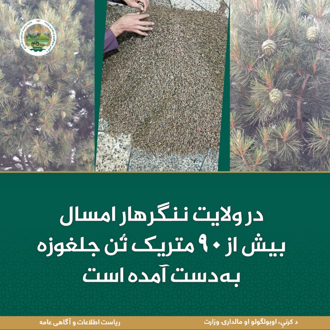 خبرهای مهم روز