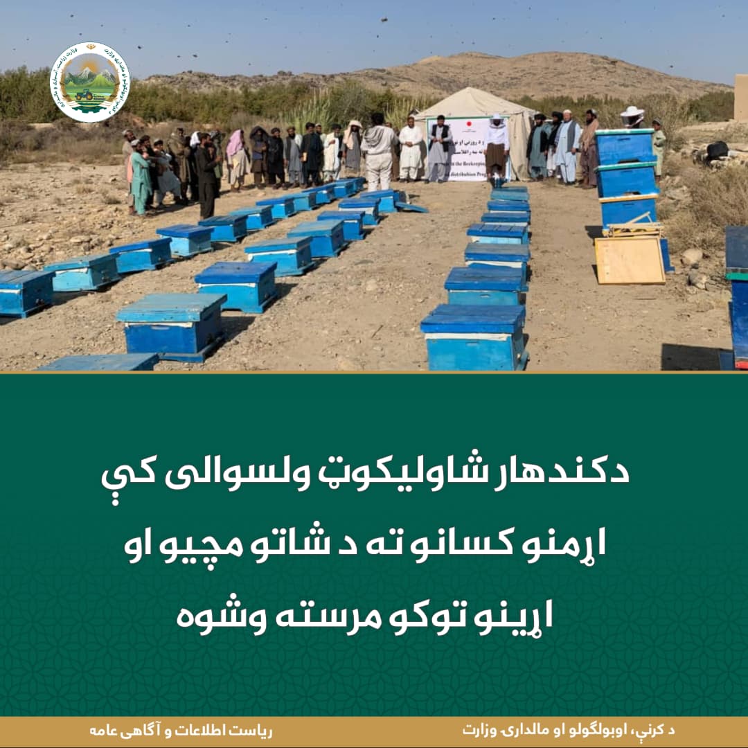 د ورځ مهمی خبری