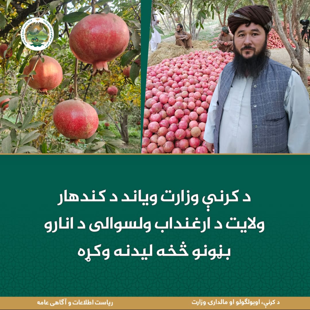 د ورځ مهمی خبری