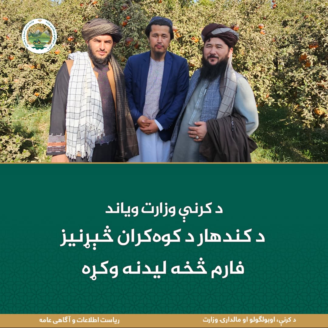 د ورځ مهمی خبری