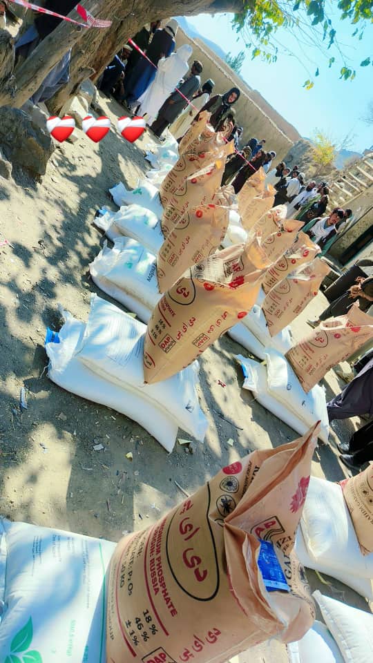 توزیع تخمهای اصلاحشده گندم و کود کیمیاوی برای یکهزار دهقان در دو ولسوالی ولایت پکتیکا