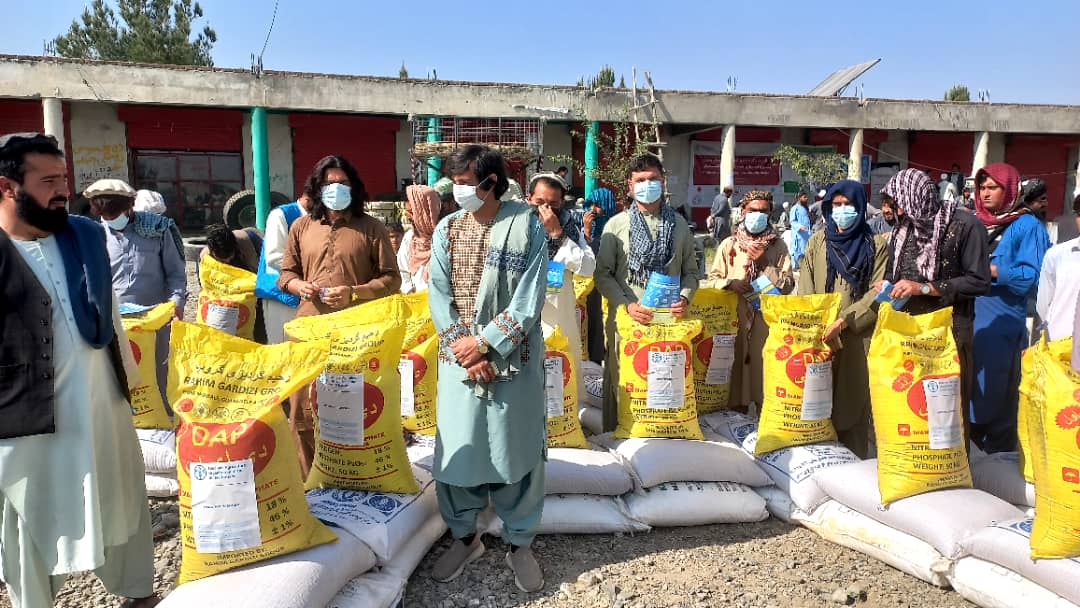 د خوست ګربزو ولسوالی کې پر سلګونو بزګرانو اصلاح شوي تخمونه او کیمیاوي سرې وېشل کېږي