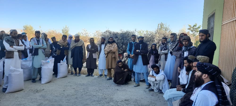 پکتیکا کې ۶۰ متریک ټنه اصلاح شوي د غنمو تخمونه بزګرانو ته ووېشل شول