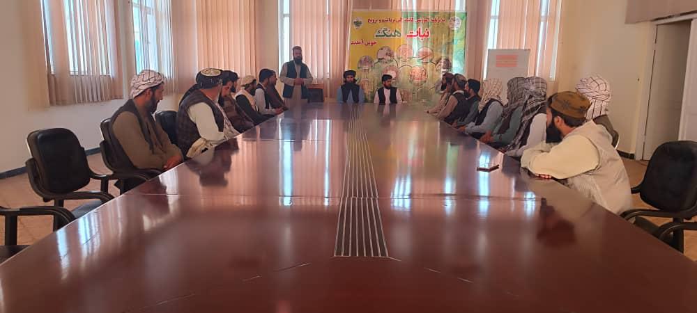 برگزاری برنامه آموزشی کشت تا برداشت نبات هنگ در ولسوالی دهدادی بلخ