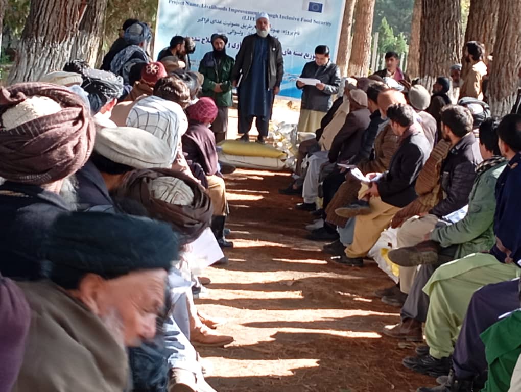 آغاز توزیع گندم بذری اصلاح‌شده برای ۳۰۰ دهقان در ولسوالی دشت قلعه ولایت تخار