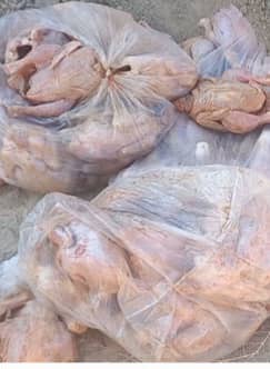 دفن و از بین بردن ۱۱۰ کیلوگرام گوشت مرغ فاسد در ولایت بادغیس