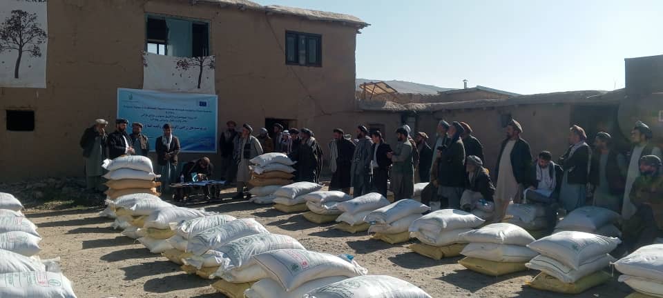 توزیع تخم اصلاح‌شده و کود کیمیاوی برای ۱۰۰ دهقان در ولسوالی چاه‌آب تخار