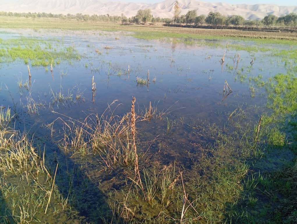 آغاز سروی نیازسنجی برای طرح و تطبیق پروژه‌های منابع طبیعی در تخار
