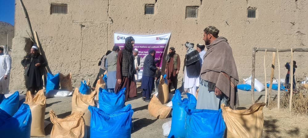 د میدان وردګو په دوو ولسوالیو کې پر سلګونو بزګرانو د غنمو اصلاح شوي تخمونه او کیمیاوي سرې ووېشل شوې 