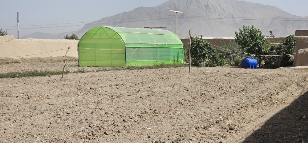 شنې خونې د کندهار د بزګرانو د اقتصادي پیاوړتیا په پار نوی فرصت؛ ۱۰۰ شنې خونې ګټې اخیستنې ته وسپارل شول