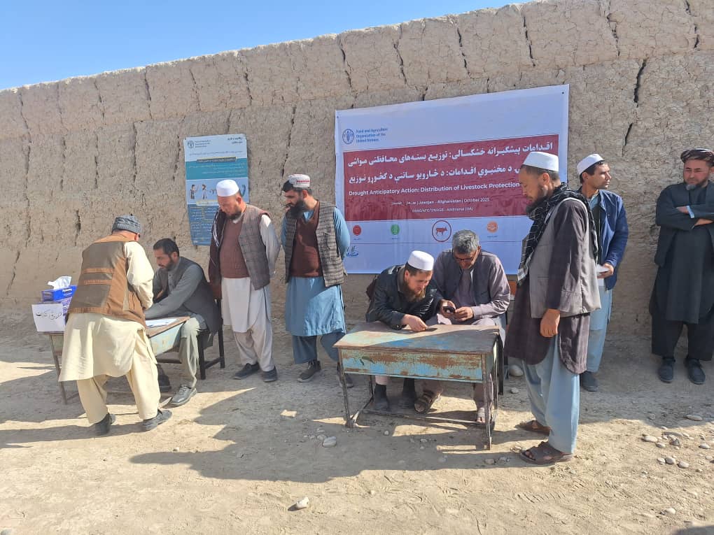 توزیع مواد خوراکه حیوانی برای مالداران ولسوالی مردیان جوزجان