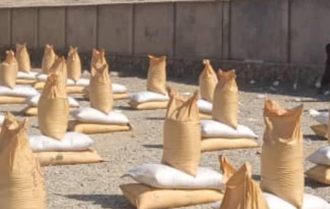 د کندهار نېش کې ۷۵ تنه بزګرانو ته د غنمو اصلاح شوي تخم او کیمیاوي سرې ووېشل شوې