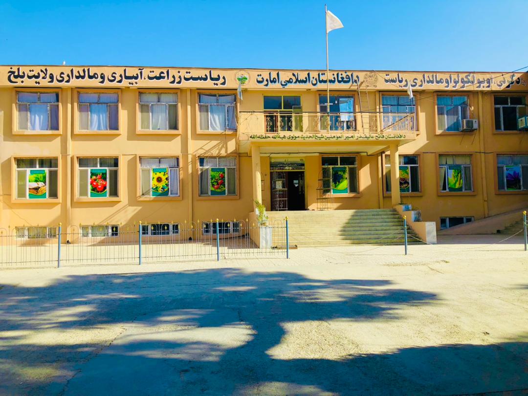 کمک‌های نقدی و تخنیکی برای زنان نیازمند در ولسوالی چمتال بلخ انجام شد