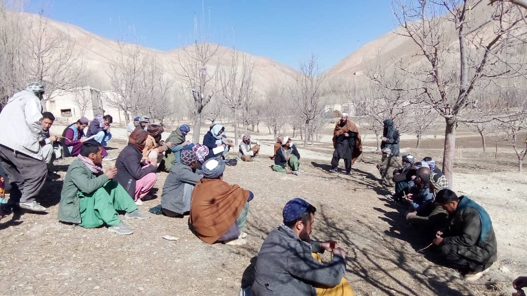 آغاز کمپاین کنترول میخانیکی مور پدار و مور خیمه ساز در دایکندی