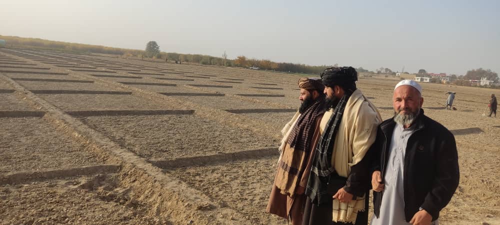 سفر رییس  انستیتوت زراعتی تحقیقات وزارت زراعت  به بلخ