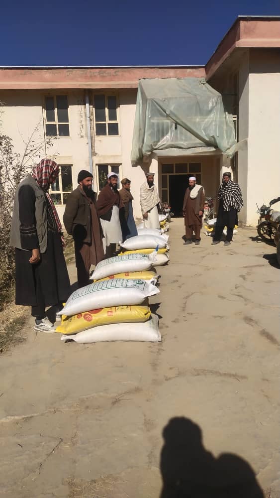 میدان وردګو کې د غنمو ننداریزو کروندو لپاره اصلاح شوي تخمونه او کیمیاوي سرې ووېشل شوې