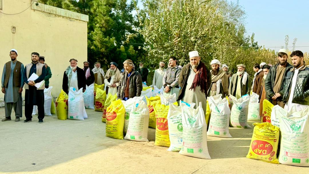 در دو ولسوالی کندز برای ده‌ها دهقان تخم اصلاح‌شده گندم و کود کیمیاوی توزیع شد