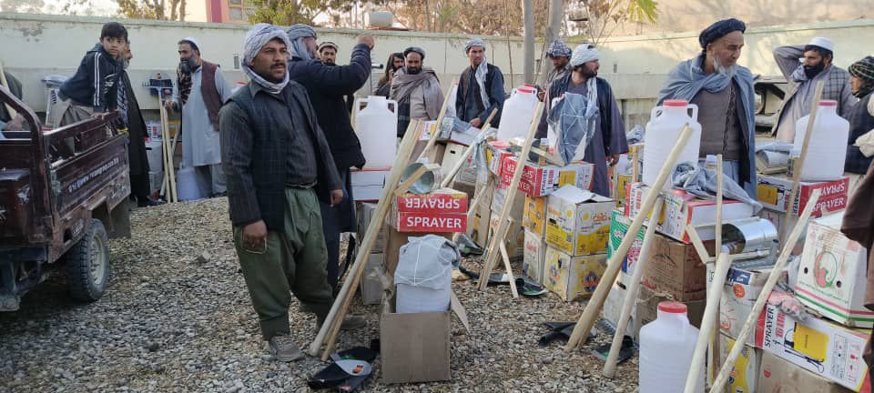 توزیع وسایل زراعتی و آموزش نبات هنگ در ولسوالی بلخ