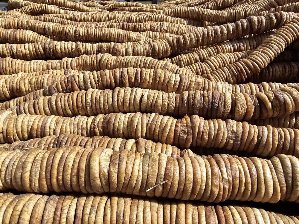 د کندهار له لارې د انځرو صادرات دوه برابره زیات شوي؛ سږ کال نږدې ۳۰ زره ټنه انځر بهر ته لېږدول شوي