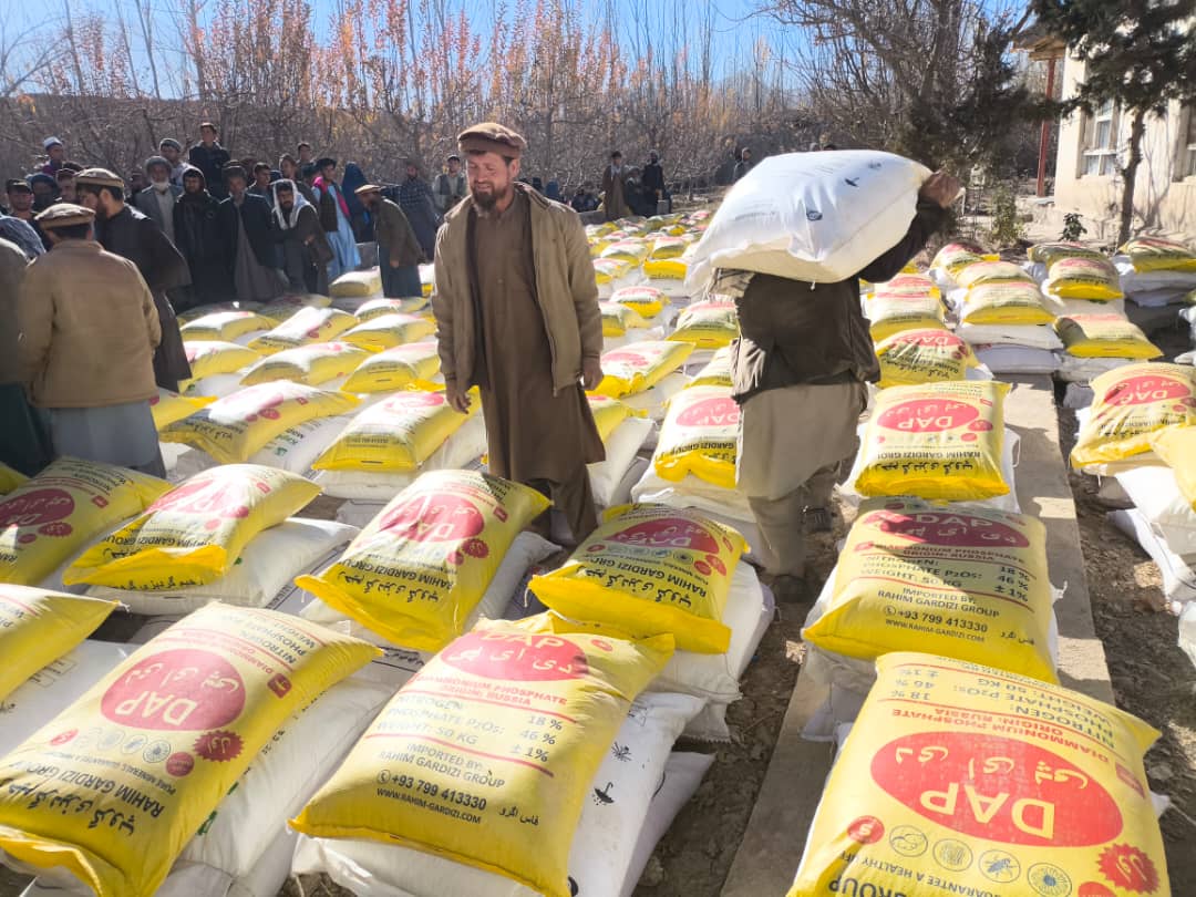 آغاز روند توزیع تخم‌های بذری اصلاح‌شده و کودهای کیمیاوی برای ۵۰۰ تن دهاقین در ولسوالی کلفگان