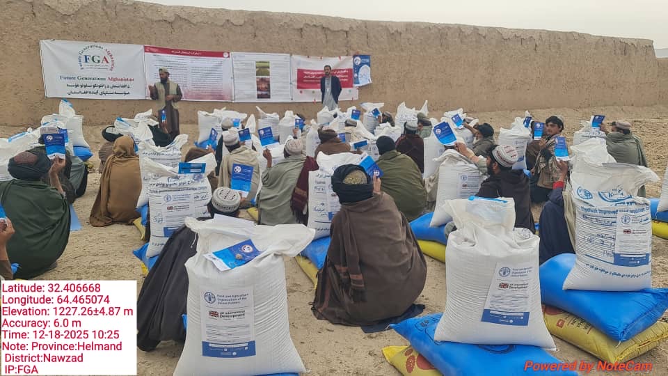 د هلمند نوزاد کې کروندګرو ته د اصلاح شويو غنمو او سرې د وېش بهیر پیل شو