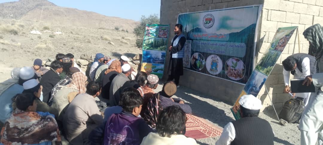  د خوست ولایت کرنې، اوبولګولو او مالدارۍ ریاست په چوکاټ کې د تڼیو ولسوالی کرنیزو چارو عمومي مدیریت تر نظارت لاندې، د آفرین مؤسسې د KH01 پروژې په چوکاټ کې د ځنګلونو او طبیعي سرچینو د ساتنې په اړه د عامه پوهاوي ناستې ترسره شوې.