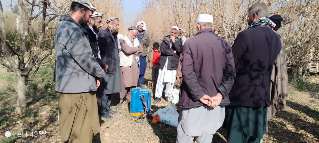 آغاز برنامه یوریااسپری در ولسوالی حصه‌اول کوهستان کاپیسا