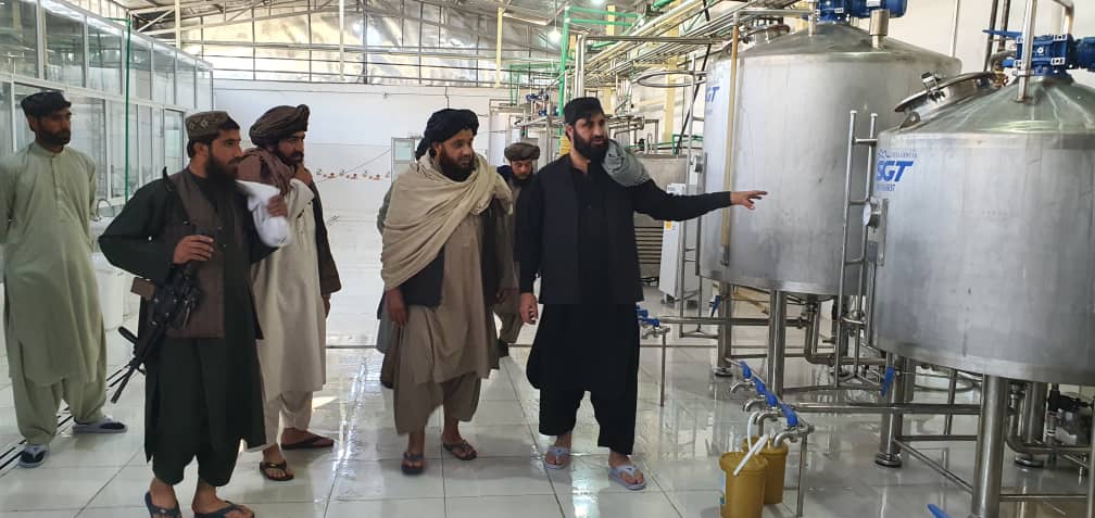 دهلمند د کرنې رییس او ورسره مل پلاوي د لبنیاتو د پروسس نوې رغول شوې فابریکې له چارو لیدنه وکړه