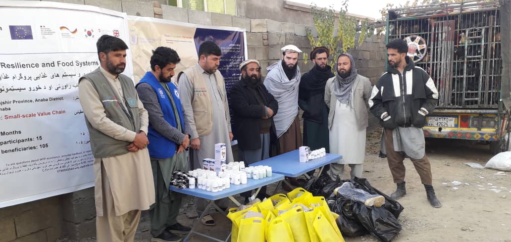 توزیع مرغ‌های تخمی برای بانوان مستحق در ولسوالی عنابه ولایت پنجشیر