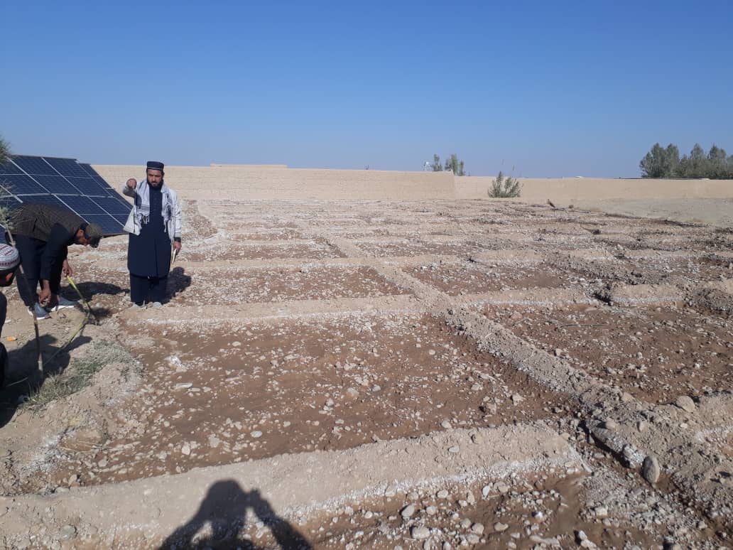 هلمند کې د ۲۱۳ انارو بڼونو د جوړولو چارې پیل شوې