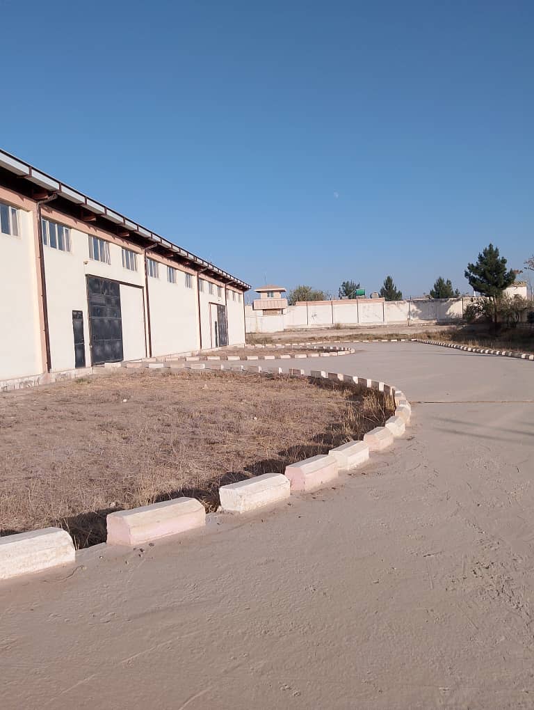 د کرنې وزارت پلاوي د سرپل په ولایت کې له زېرمه شویو غنمو څخه لیدنه وکړه 